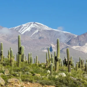 Excursión a Cachi desde Salta - Milenials Travel