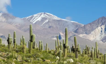 Excursión a Cachi desde Salta - Milenials Travel