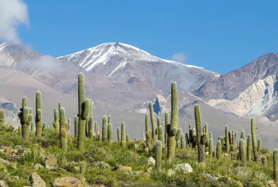 Excursión a Cachi desde Salta - Milenials Travel