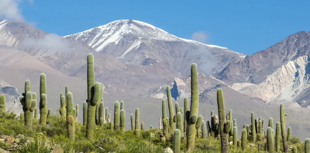 Excursión a Cachi desde Salta - Milenials Travel