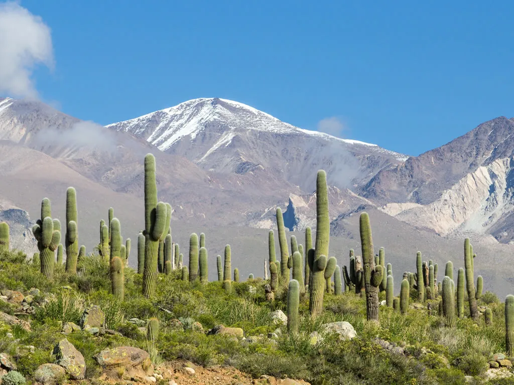 Excursión a Cachi desde Salta - Milenials Travel