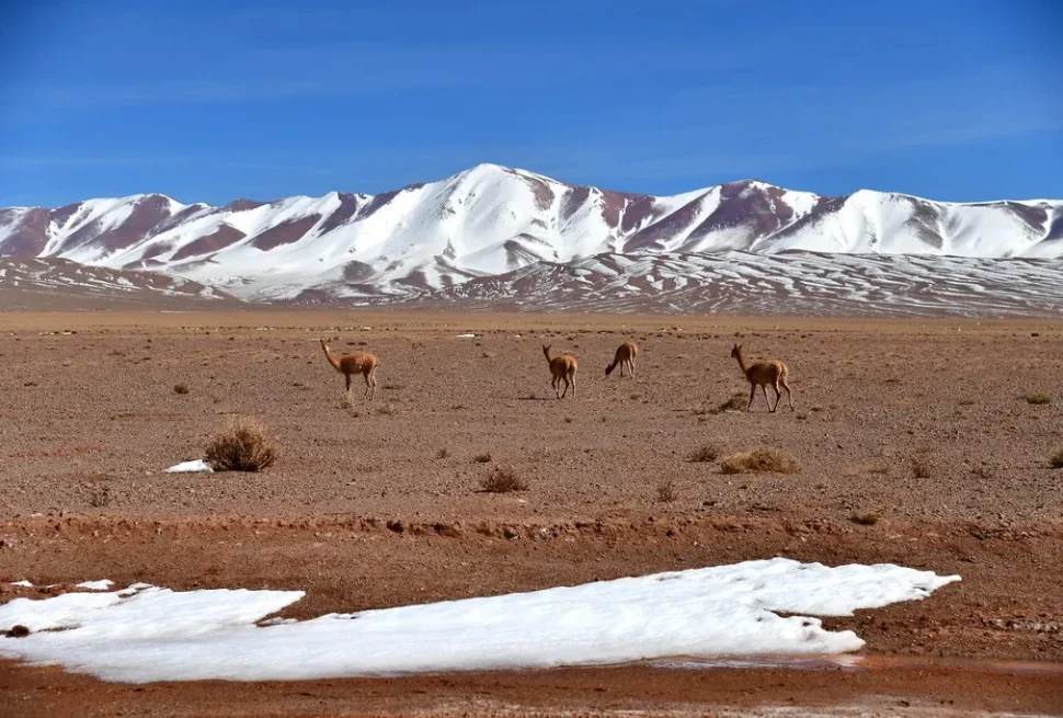 tolar_grande-Salta-milenials-travel