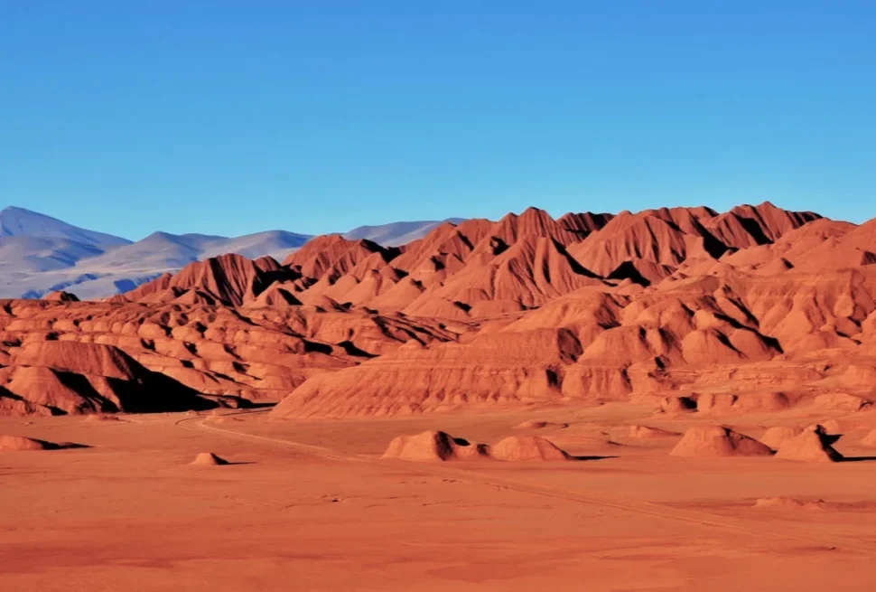 Excursión a Tolar Grande desde Salta - Milenials Travel".