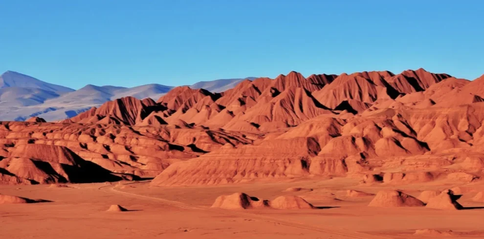 Excursión a Tolar Grande desde Salta - Milenials Travel".