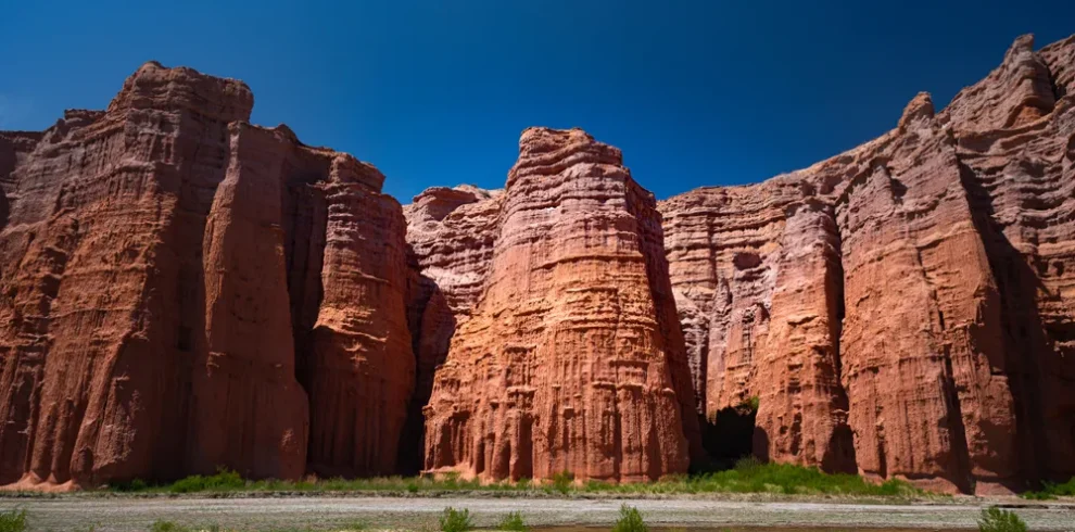 Excursión a Cafayate desde Salta - Milenials Travel